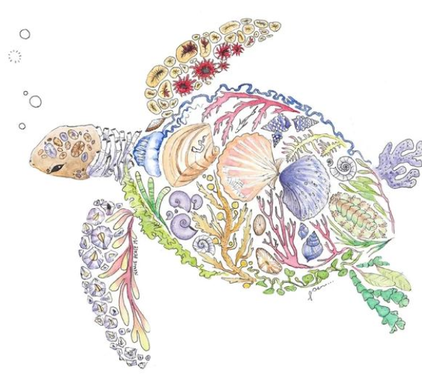 Seashell Turtle - Watercolour Biomosaic